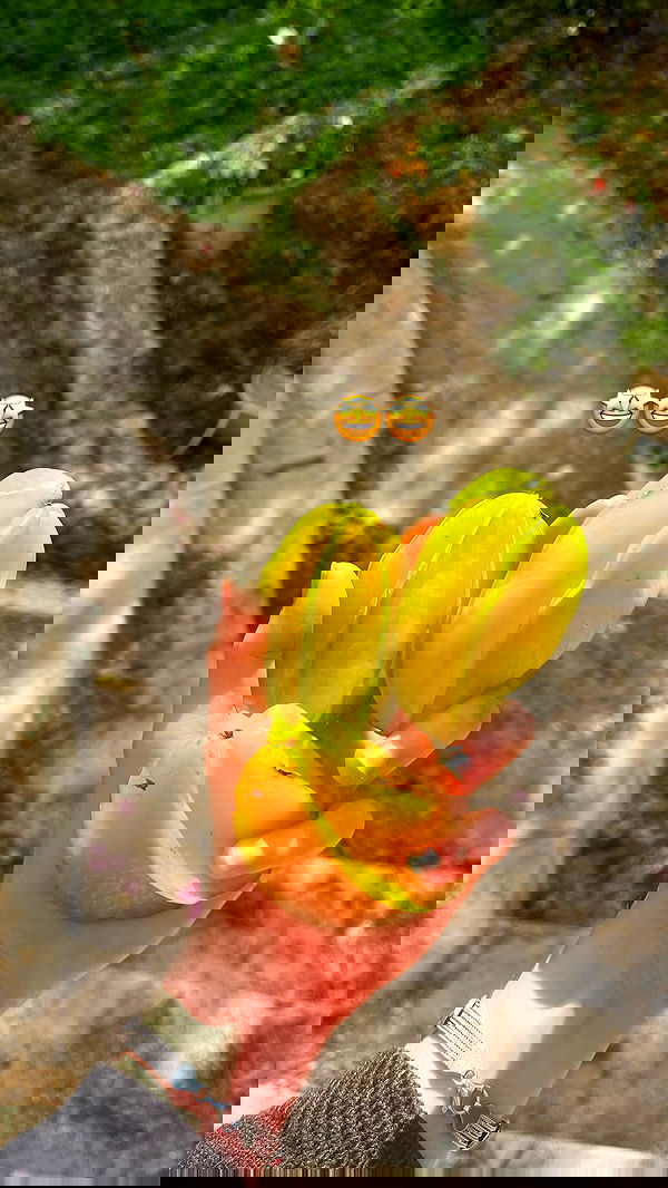 _femalien image ~ Altpins