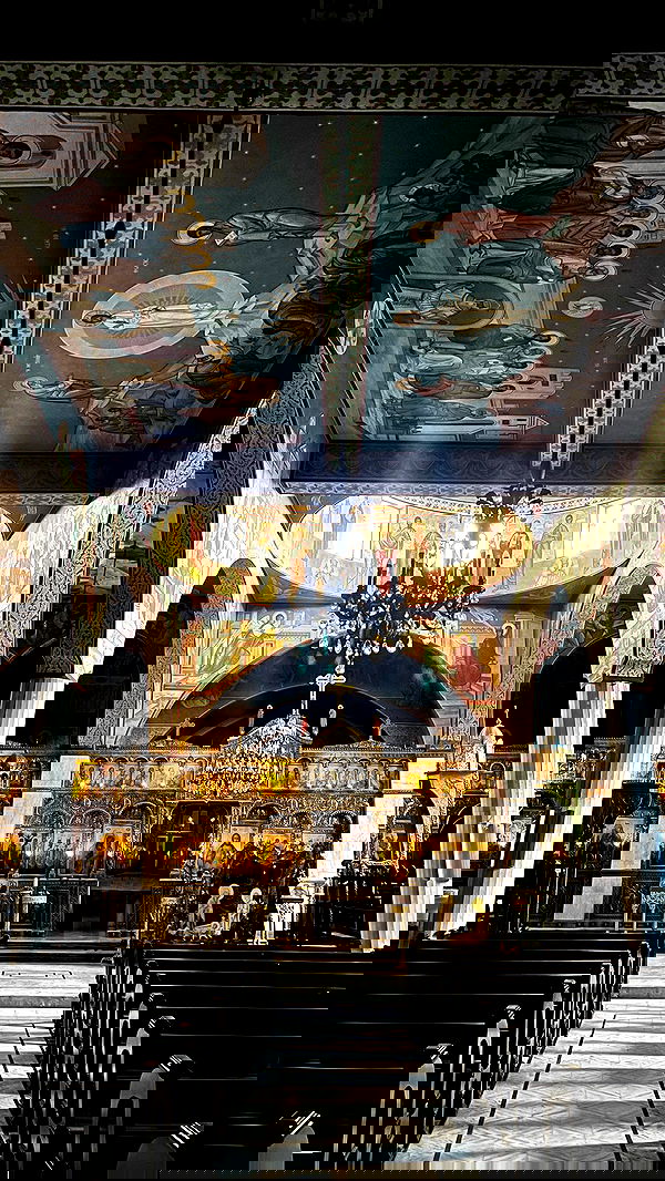 _femalien image ~ Altpins