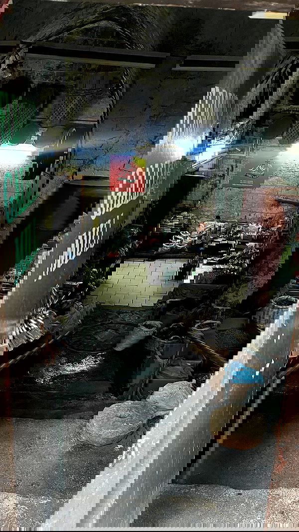 _femalien image ~ Altpins