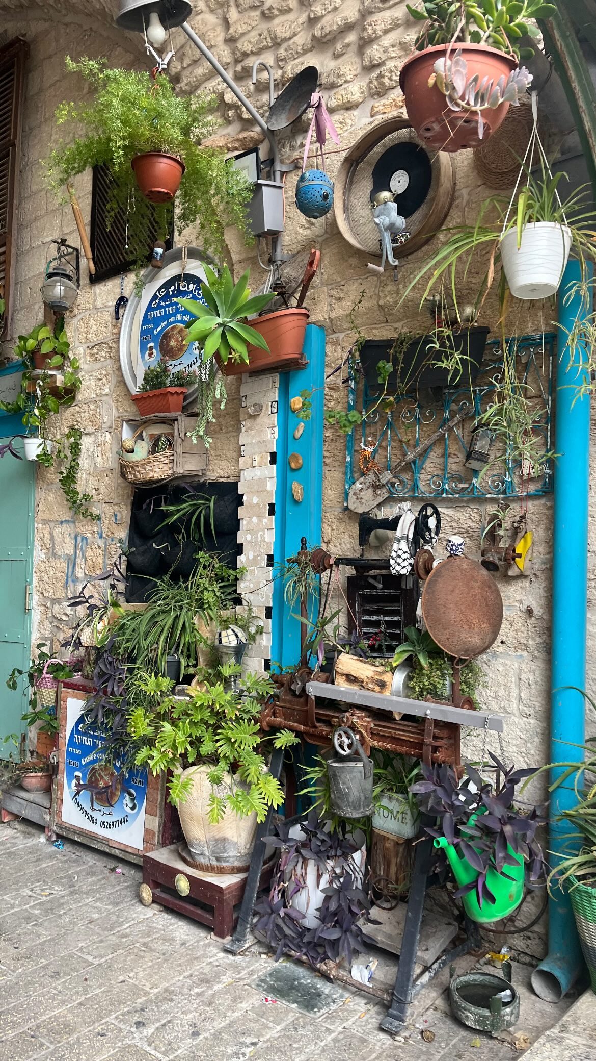 _femalien instagram image archive image