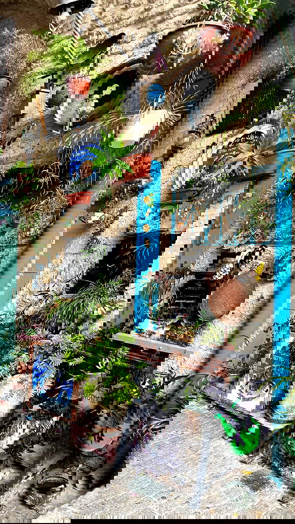 _femalien image ~ Altpins