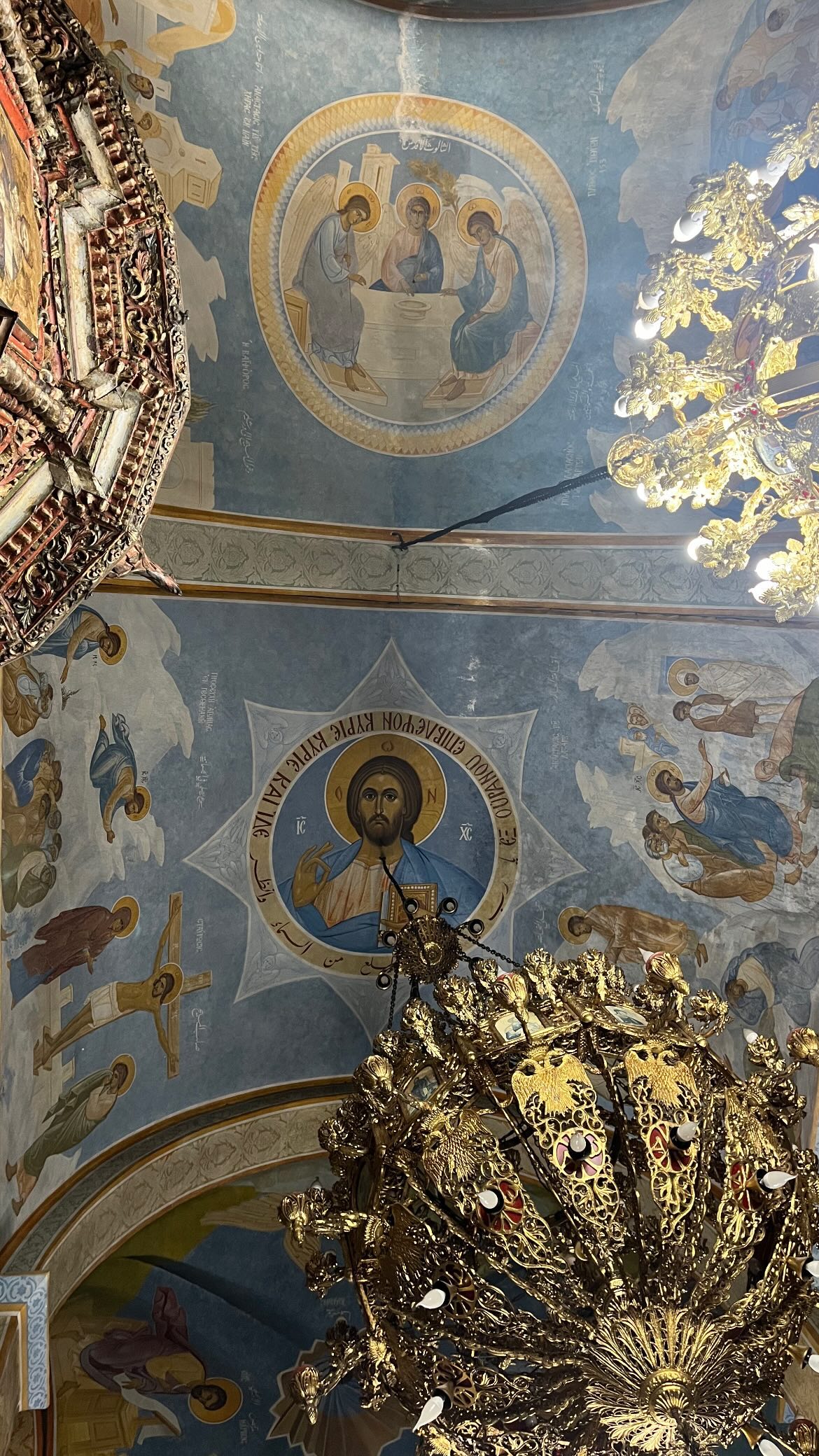 _femalien instagram image archive image