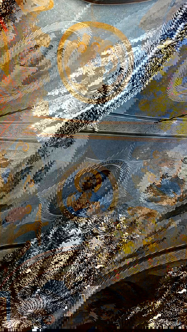 _femalien image ~ Altpins