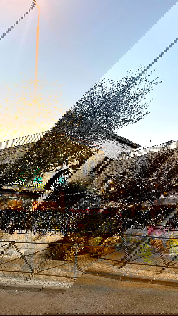 _femalien image ~ Altpins