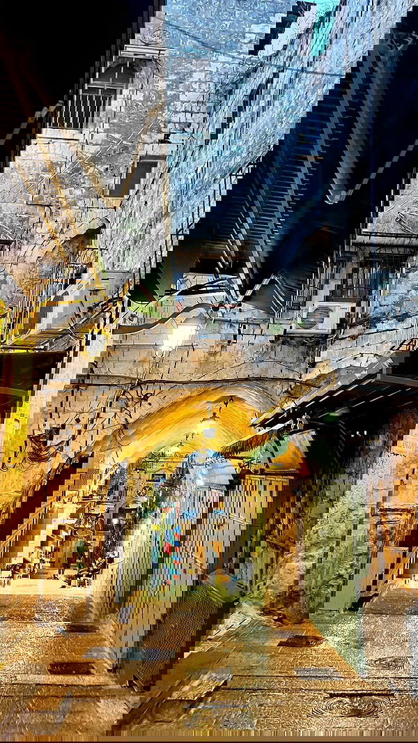 _femalien image ~ Altpins