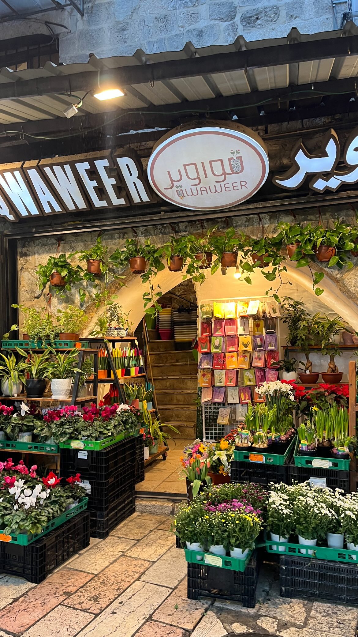 _femalien instagram image archive image