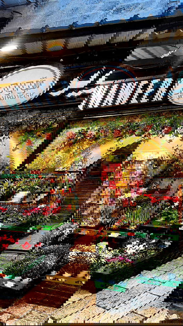 _femalien image ~ Altpins