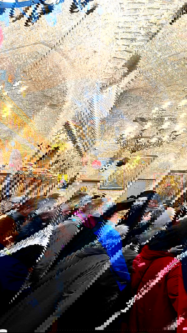 _femalien image ~ Altpins