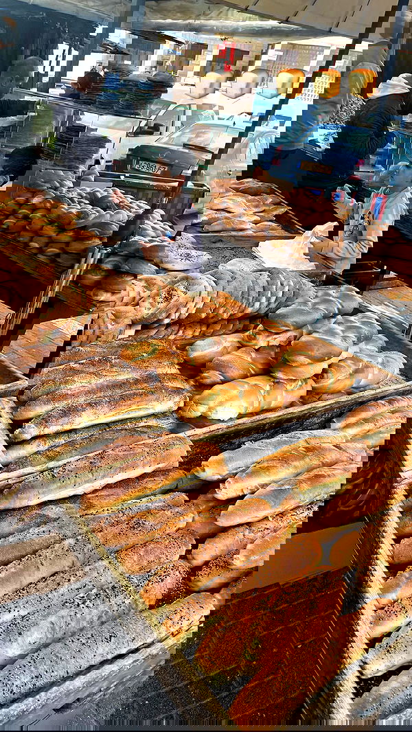 _femalien image ~ Altpins