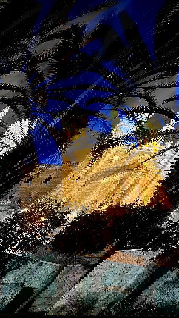 _femalien image ~ Altpins