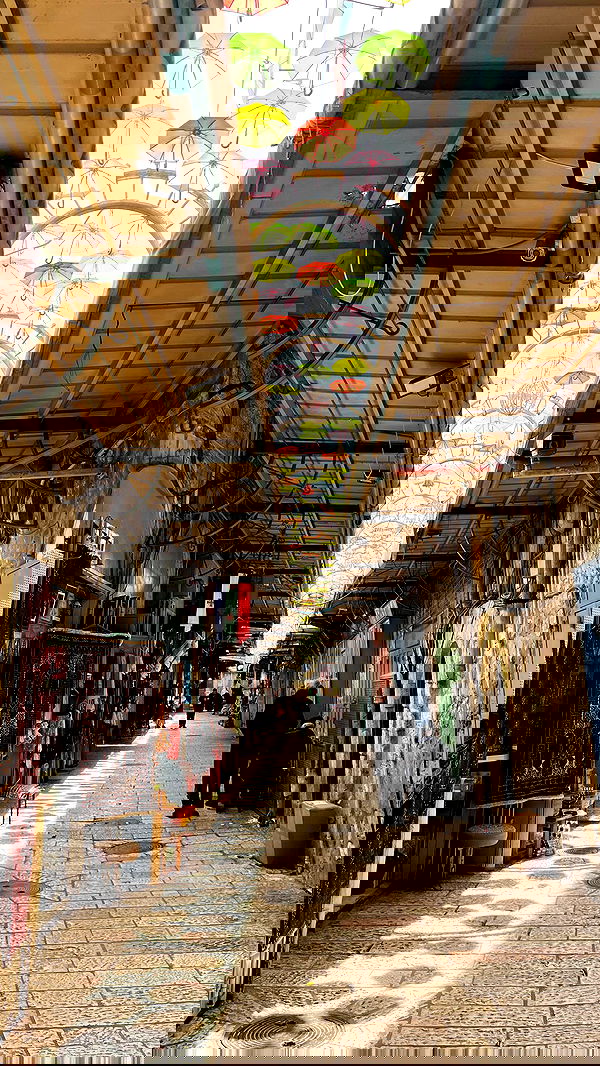 _femalien image ~ Altpins