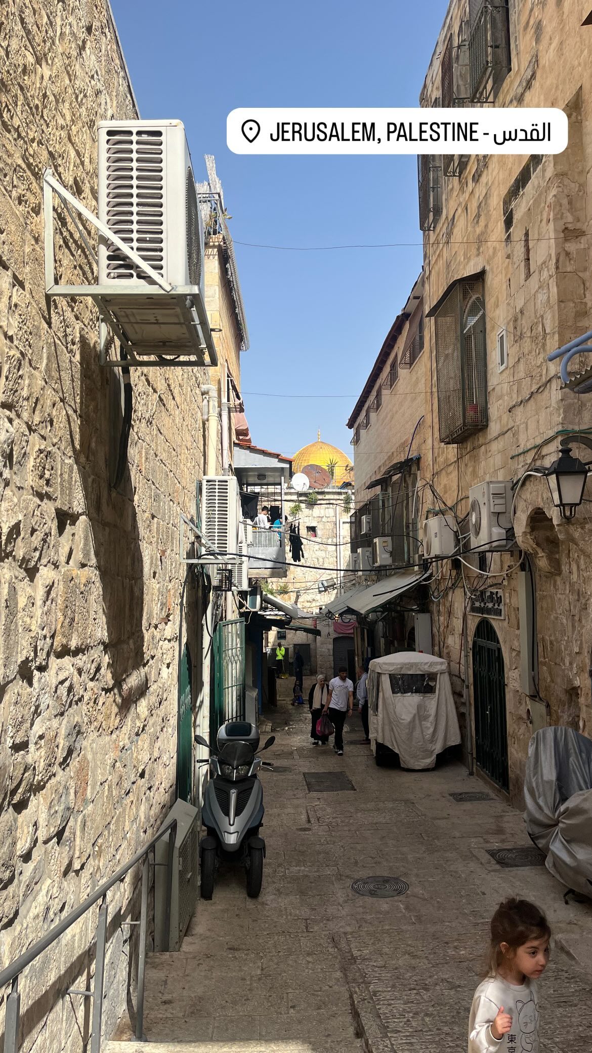 _femalien instagram image archive image