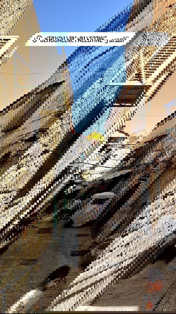 _femalien image ~ Altpins