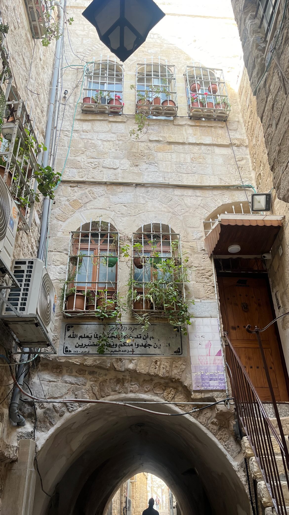 _femalien instagram image archive image