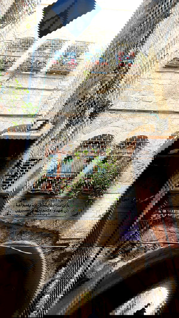 _femalien image ~ Altpins