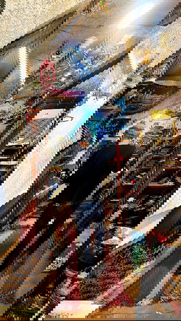 _femalien image ~ Altpins