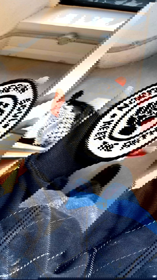 _femalien image ~ Altpins