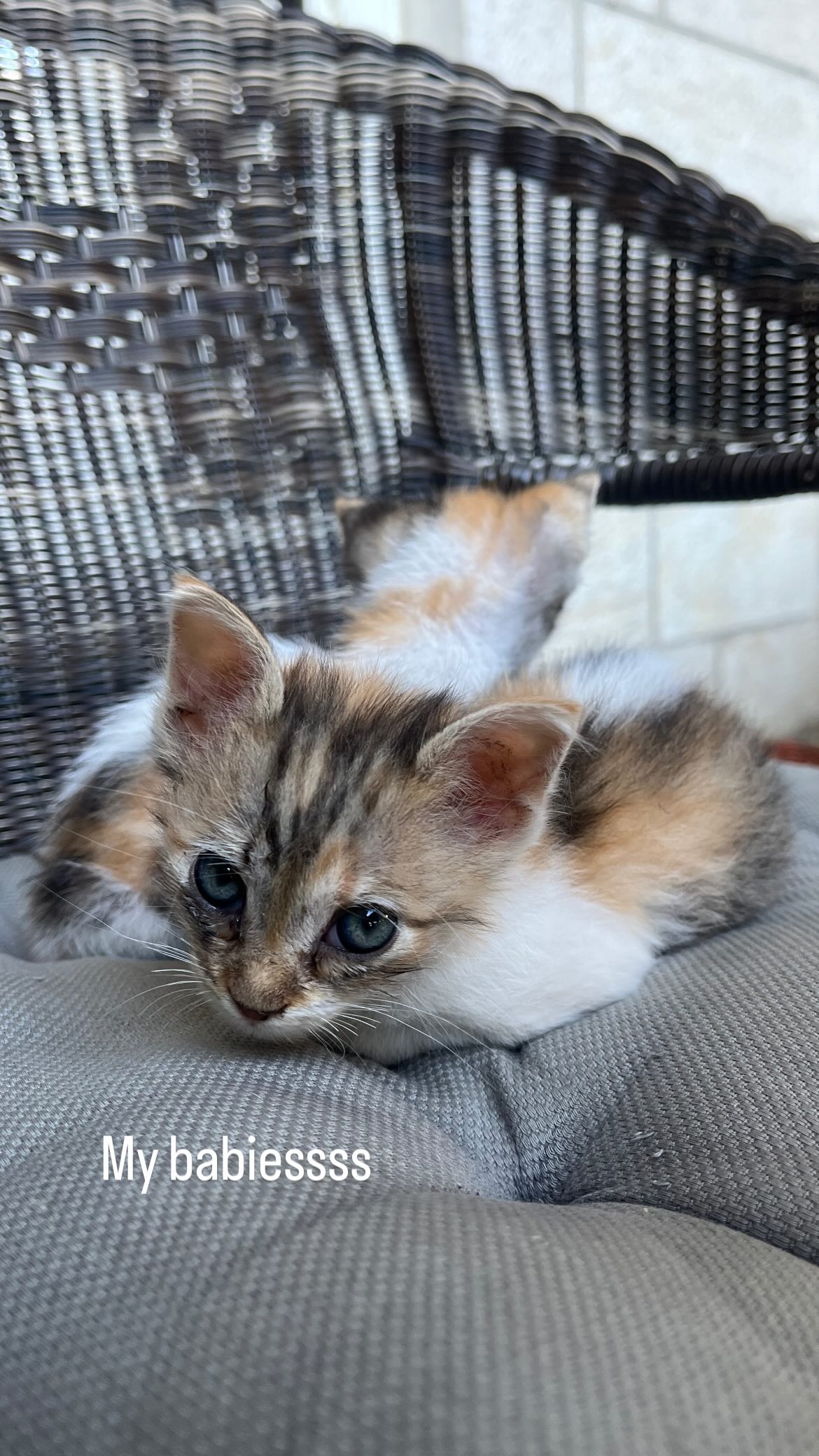 _femalien instagram image archive image