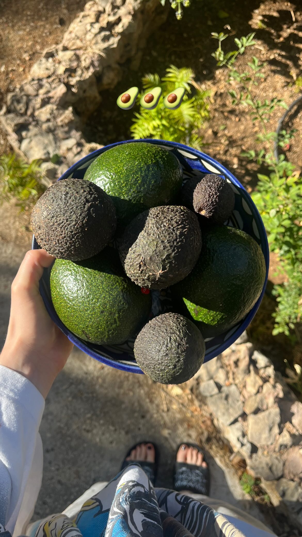 _femalien instagram image archive image