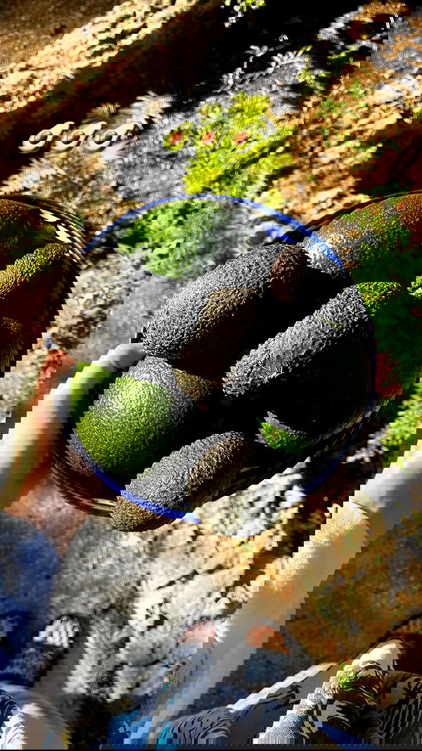 _femalien image ~ Altpins