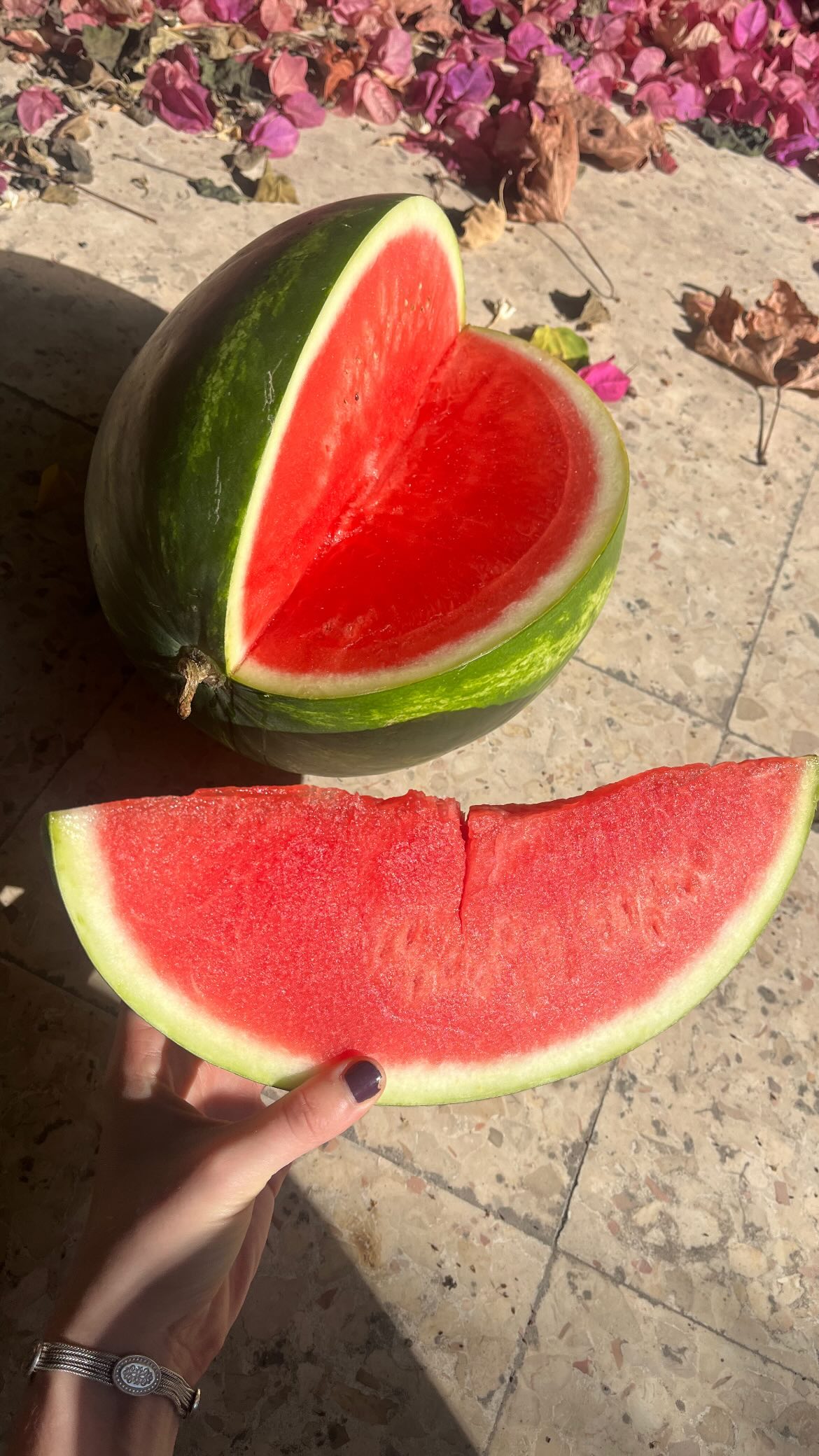 _femalien instagram image archive image