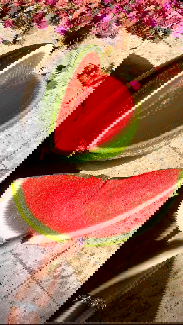 _femalien image ~ Altpins