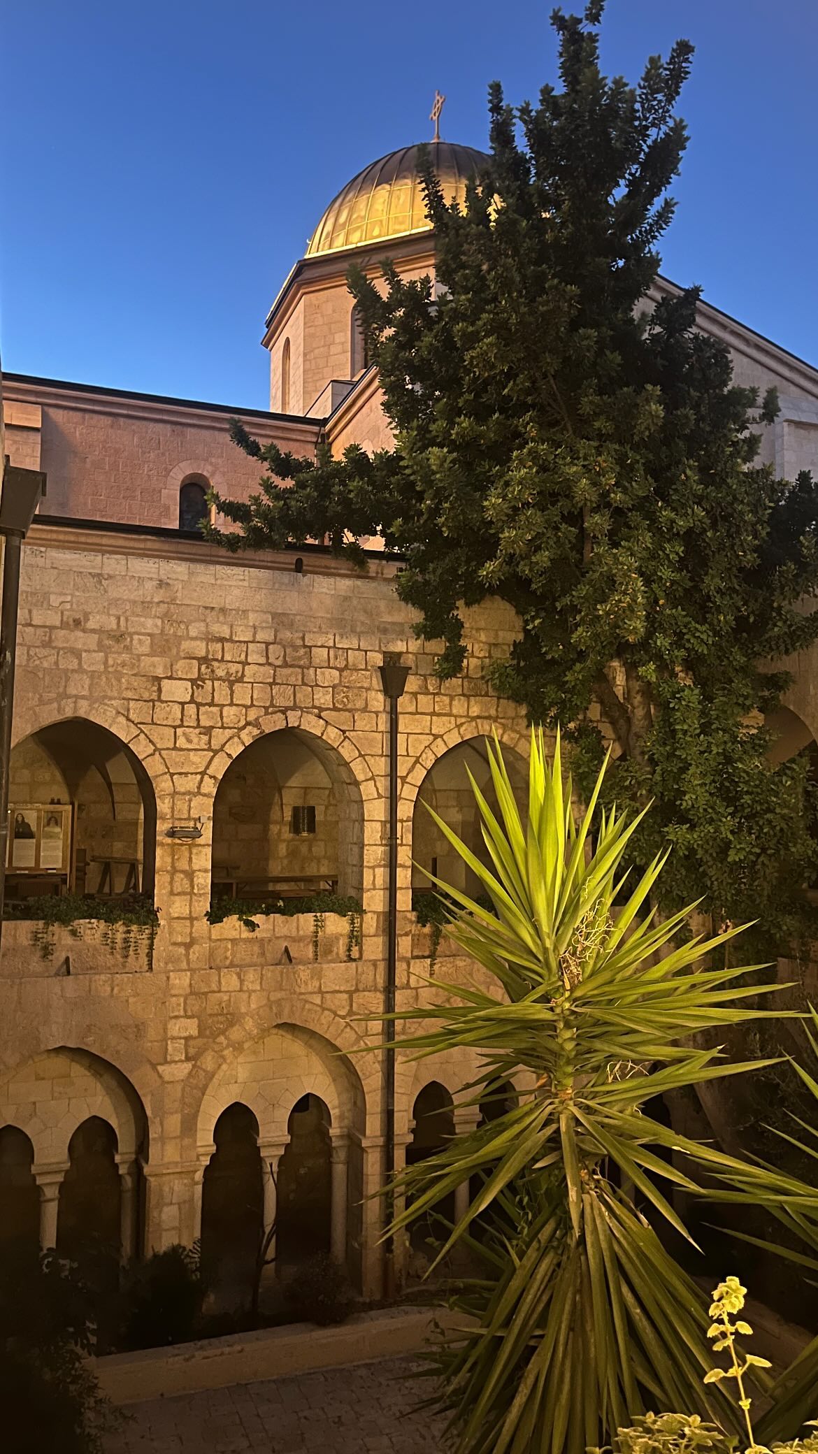 _femalien instagram image archive image