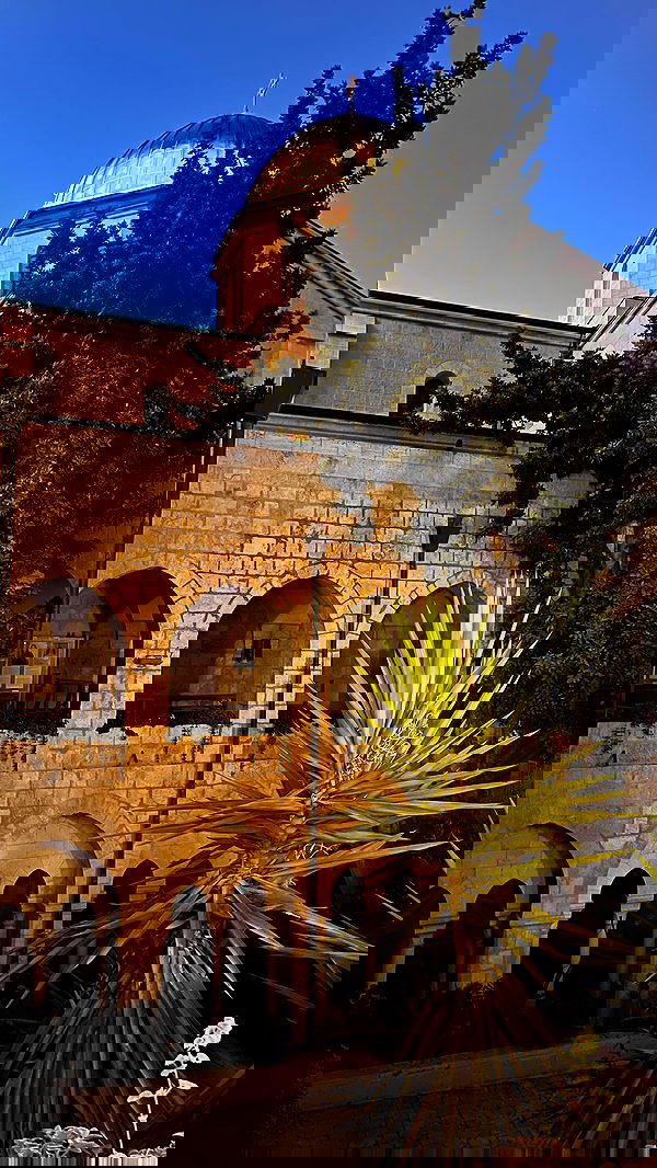 _femalien image ~ Altpins