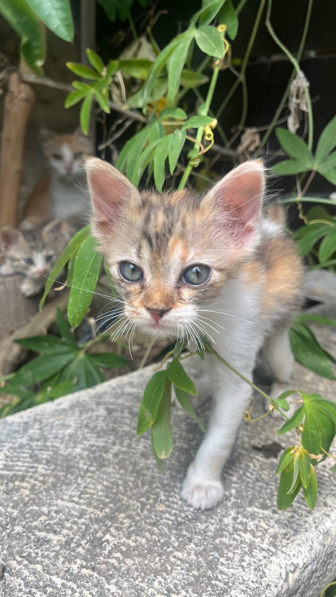 _femalien instagram image archive image