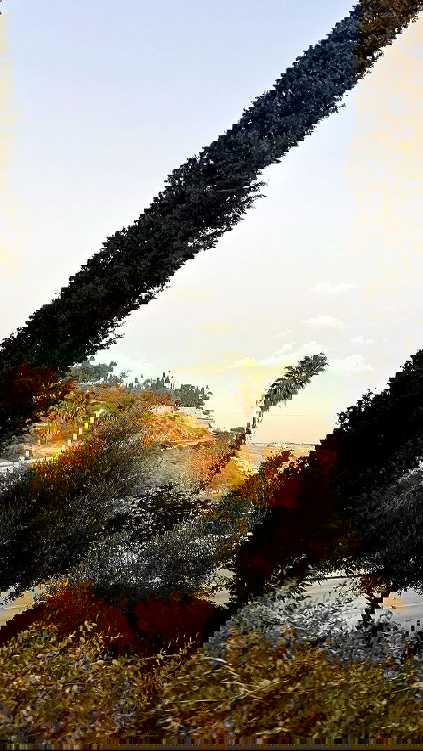 _femalien image ~ Altpins