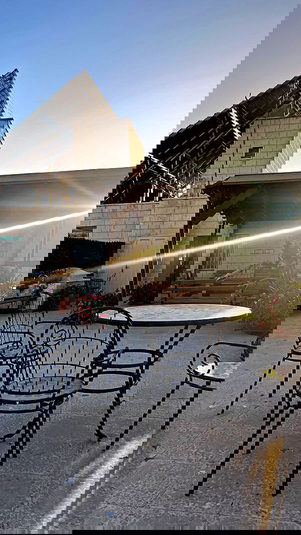 _femalien image ~ Altpins