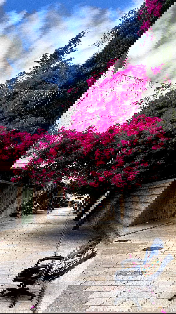 _femalien image ~ Altpins