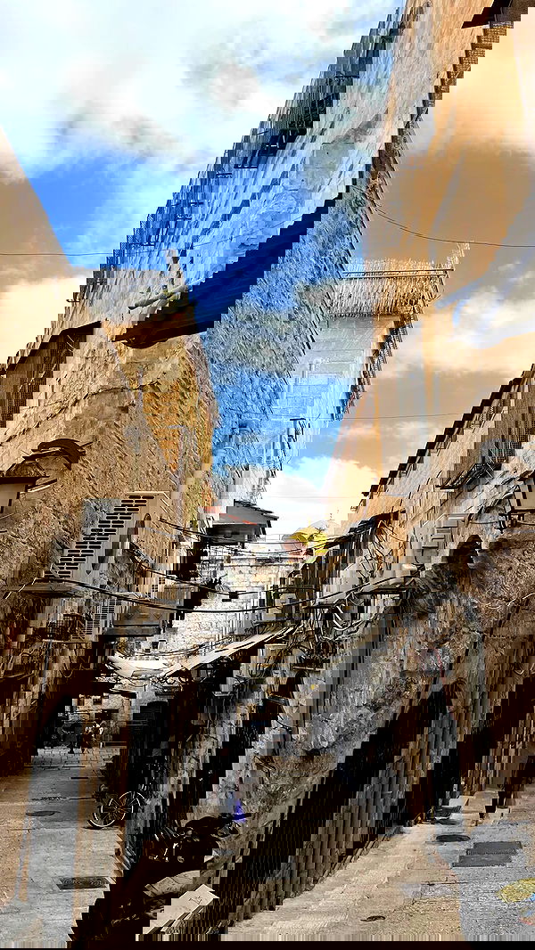 _femalien image ~ Altpins