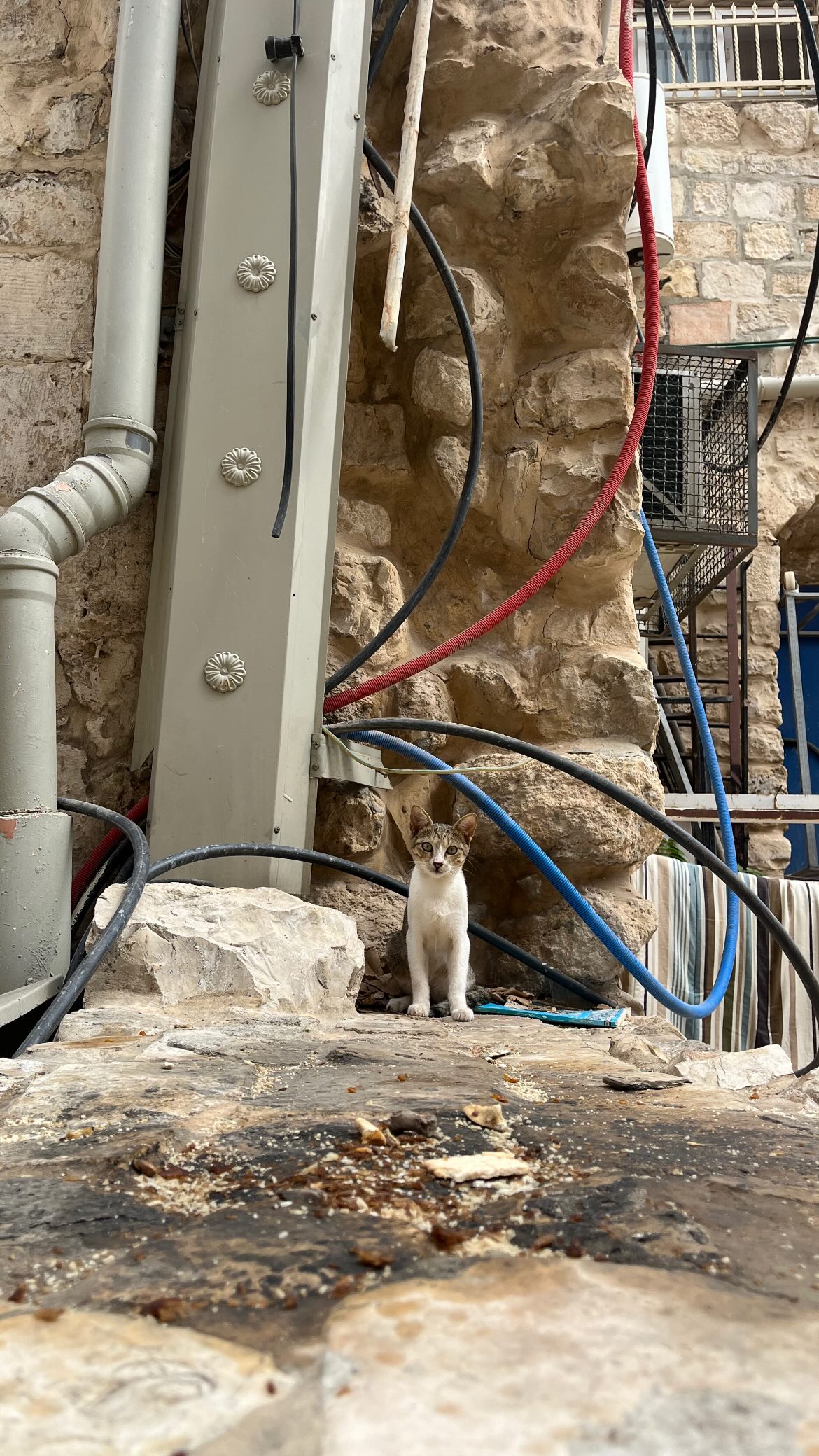 _femalien instagram image archive image