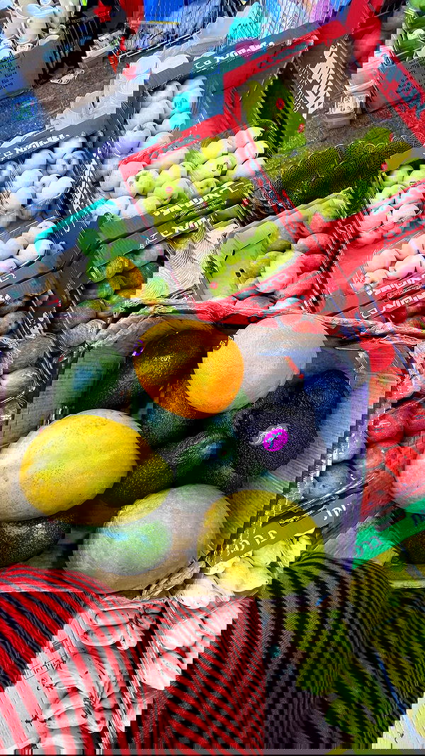 _femalien image ~ Altpins