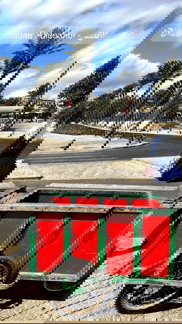 _femalien image ~ Altpins