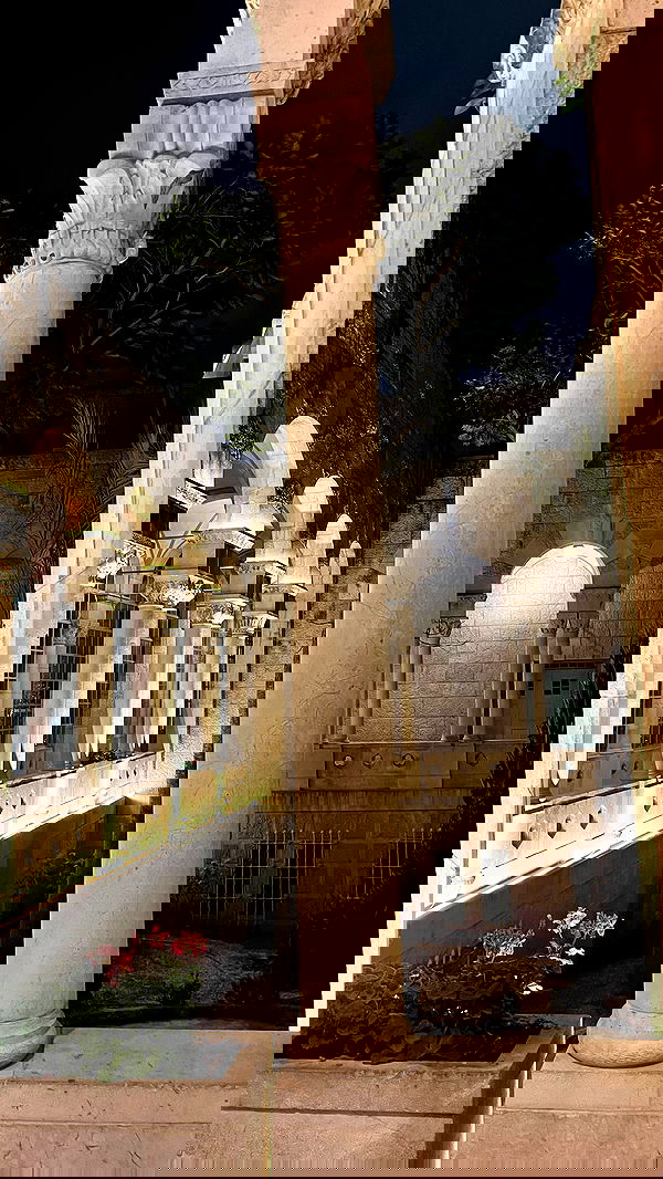 _femalien image ~ Altpins