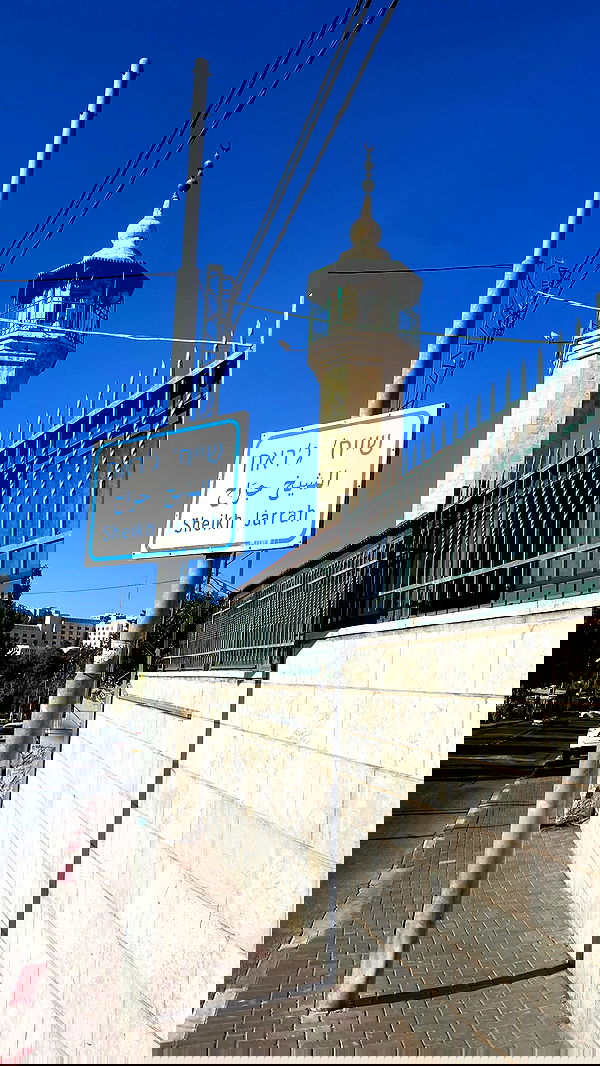 _femalien image ~ Altpins