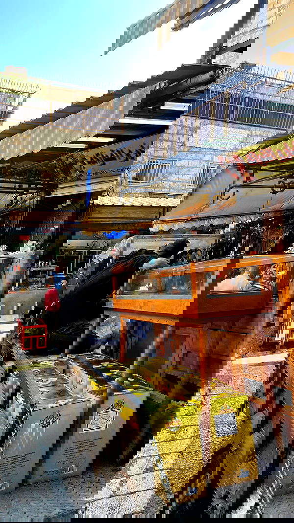 _femalien image ~ Altpins