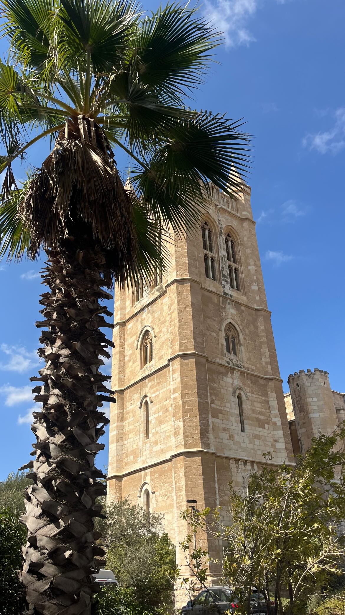 _femalien instagram image archive image