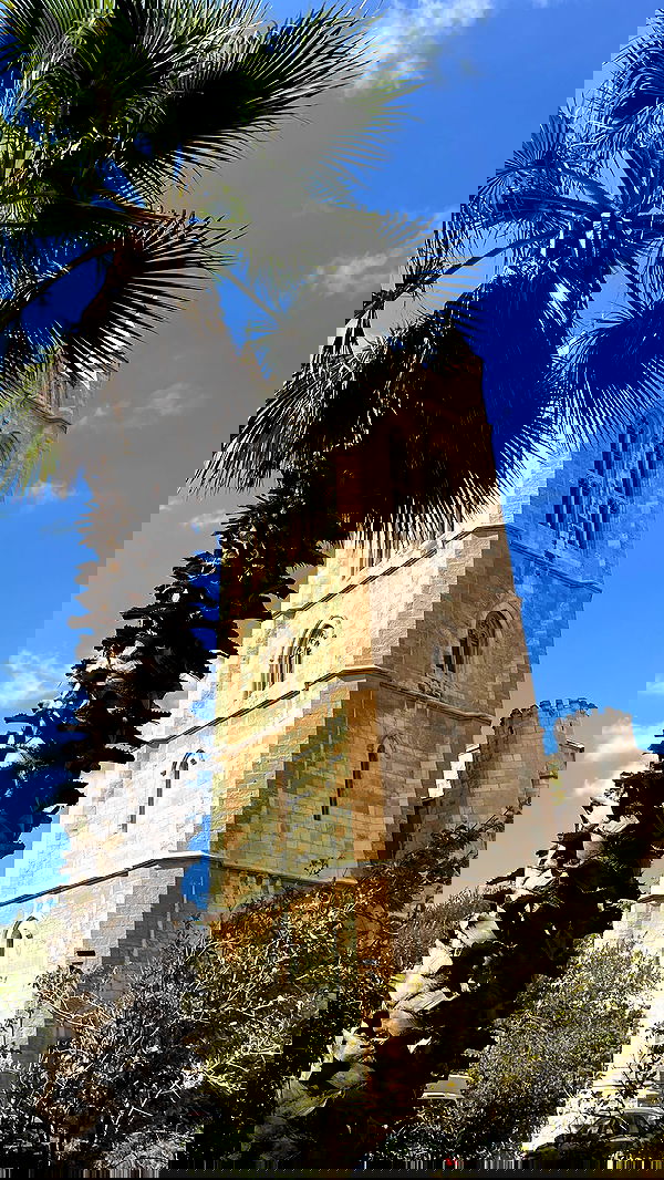 _femalien image ~ Altpins