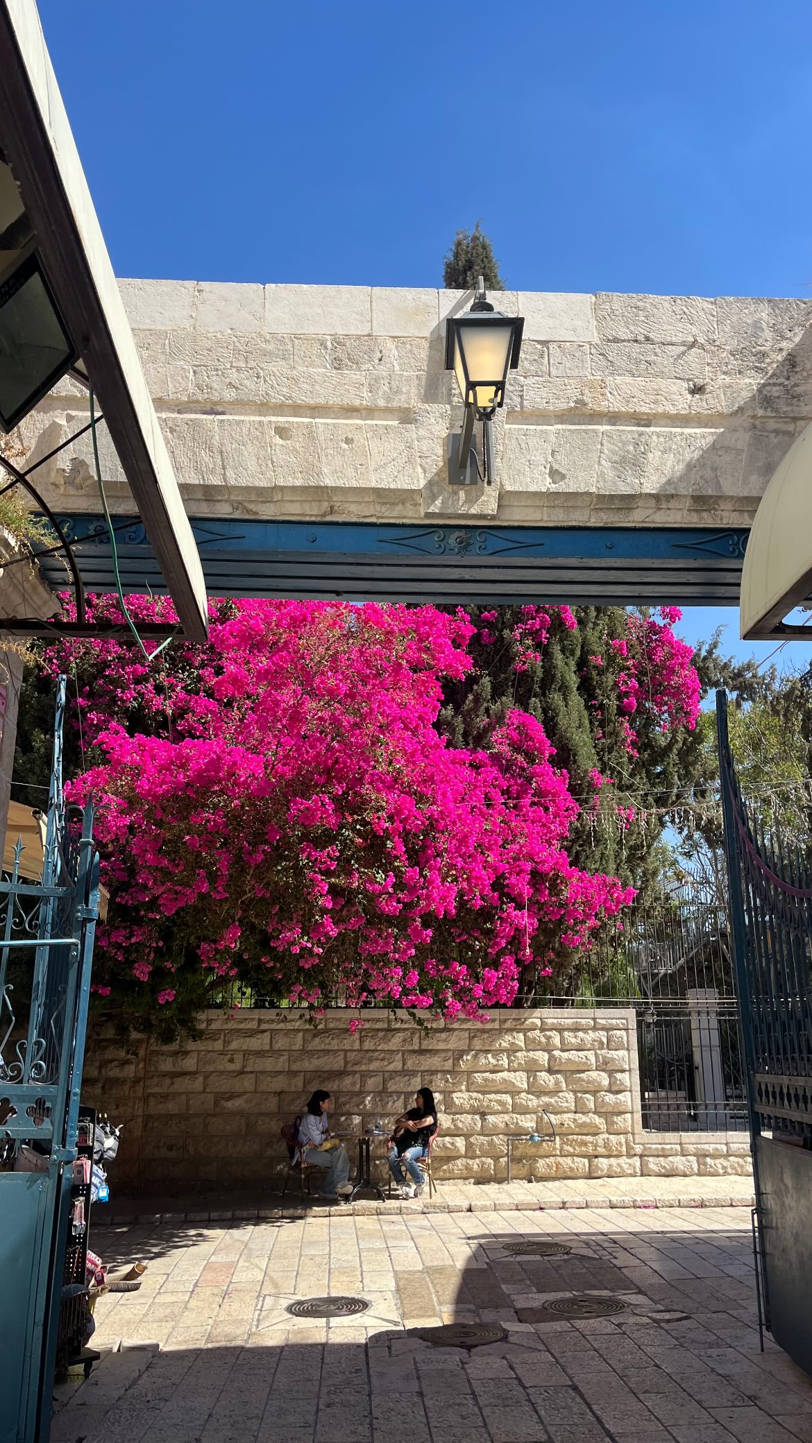 _femalien instagram image archive image