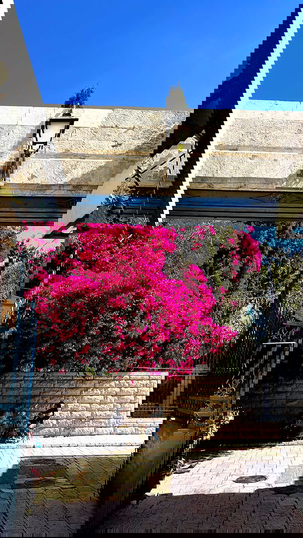 _femalien image ~ Altpins