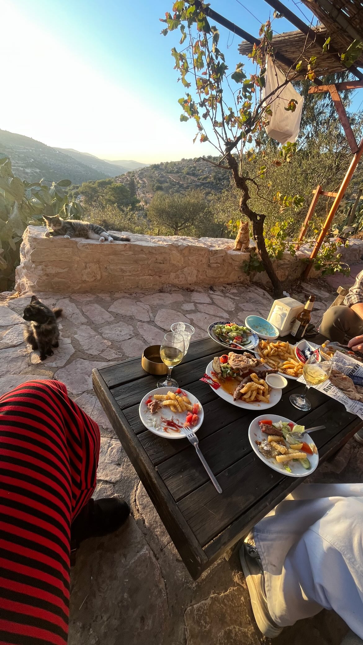 _femalien instagram image archive image