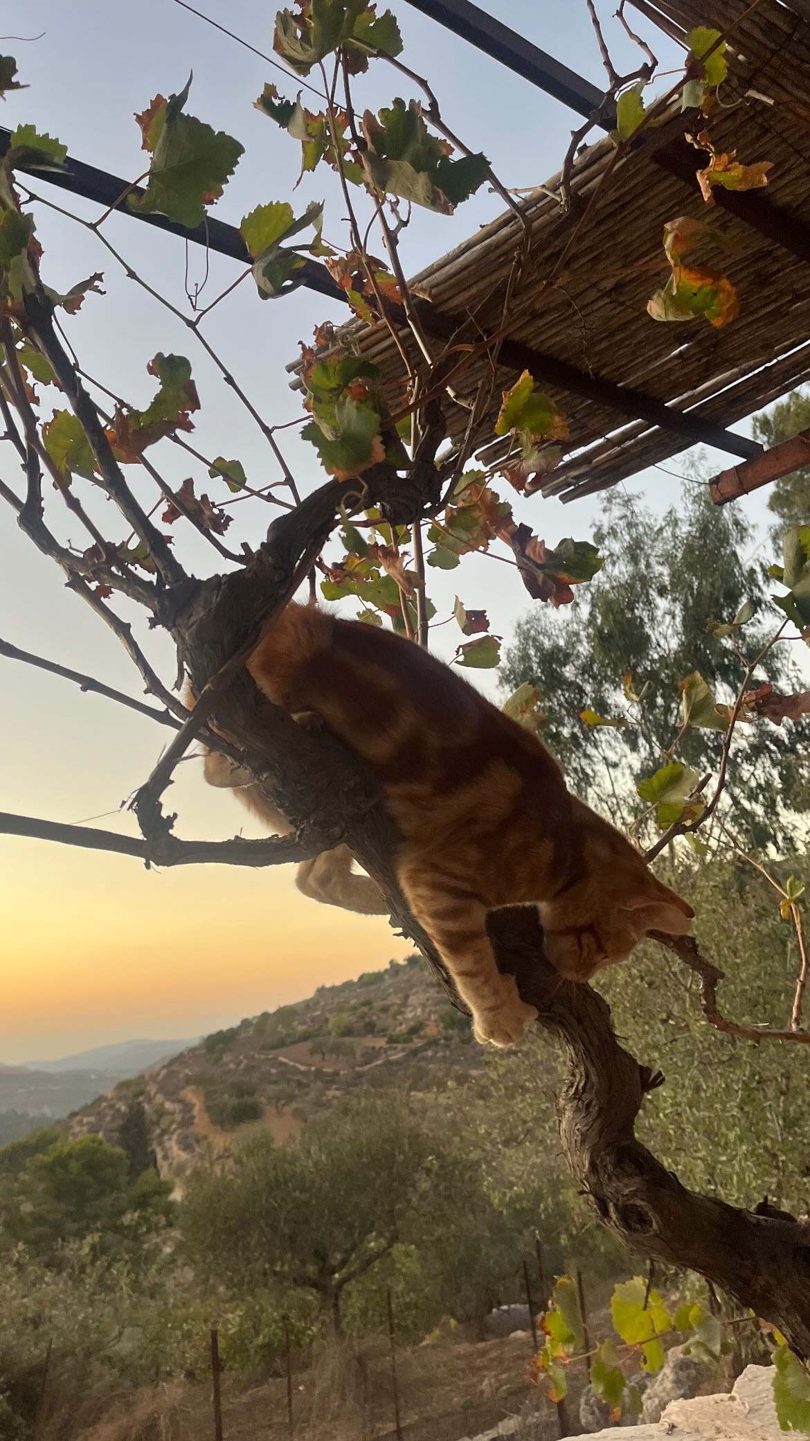 _femalien instagram image archive image