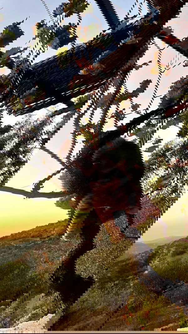 _femalien image ~ Altpins