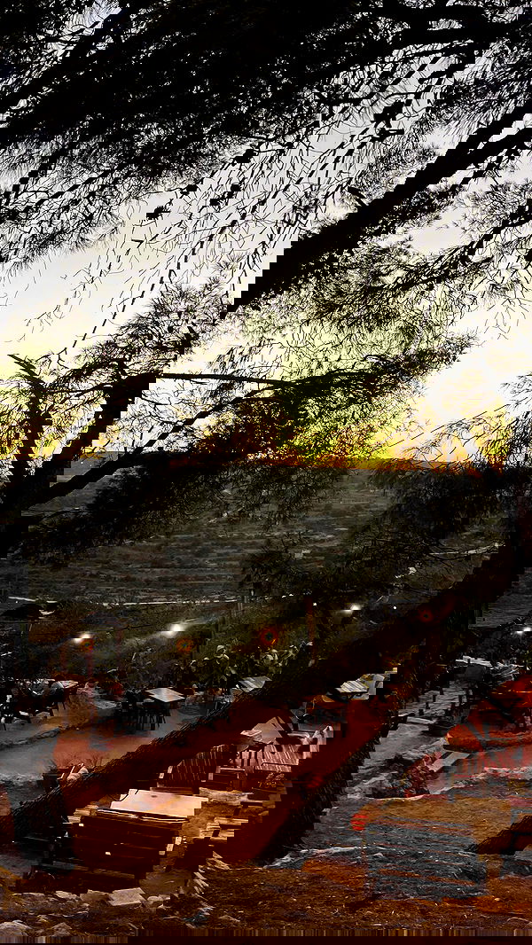 _femalien image ~ Altpins