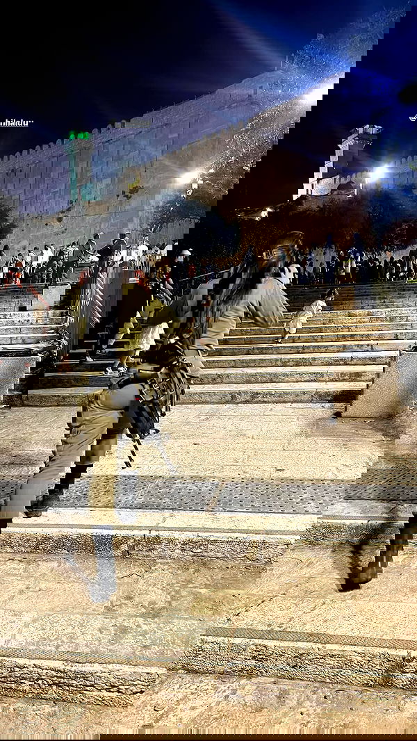 _hilaluu image ~ Altpins