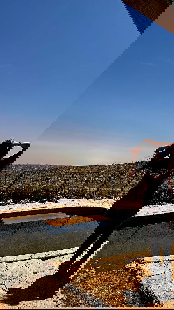 _hilaluu image ~ Altpins