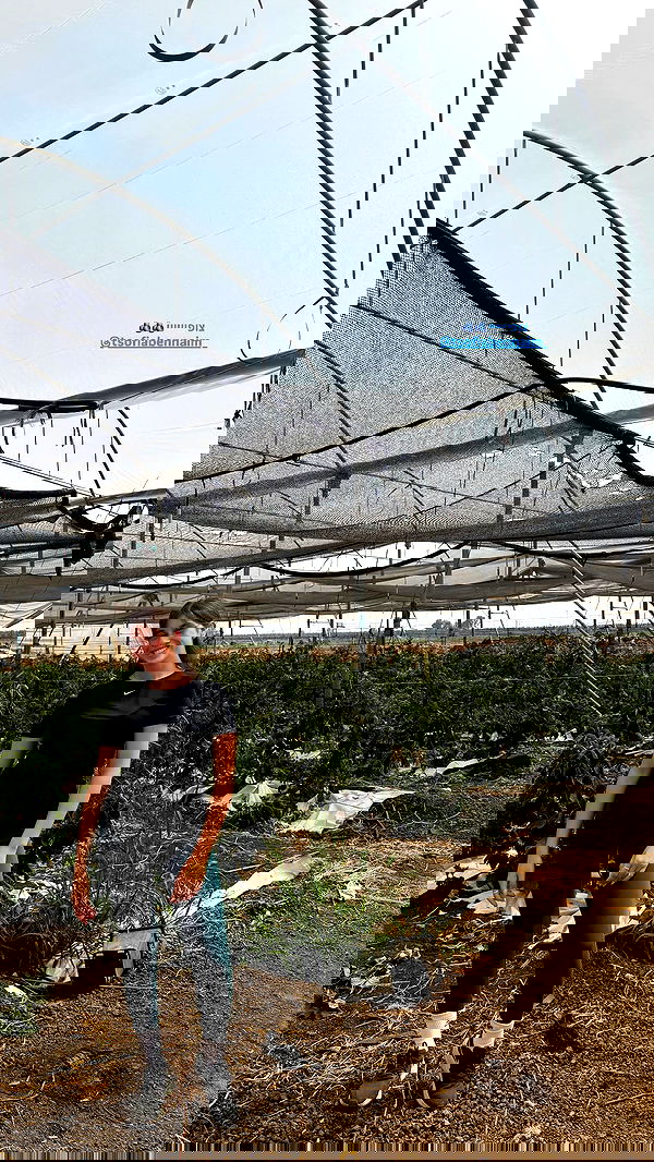 _hilaluu image ~ Altpins